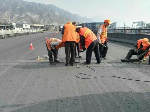 富拉尔基道路桥梁病害治理